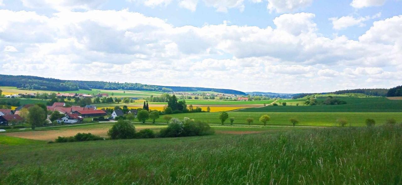 Ferienwohnung Im Barockwinkel Neuburg an der Kammel Екстериор снимка